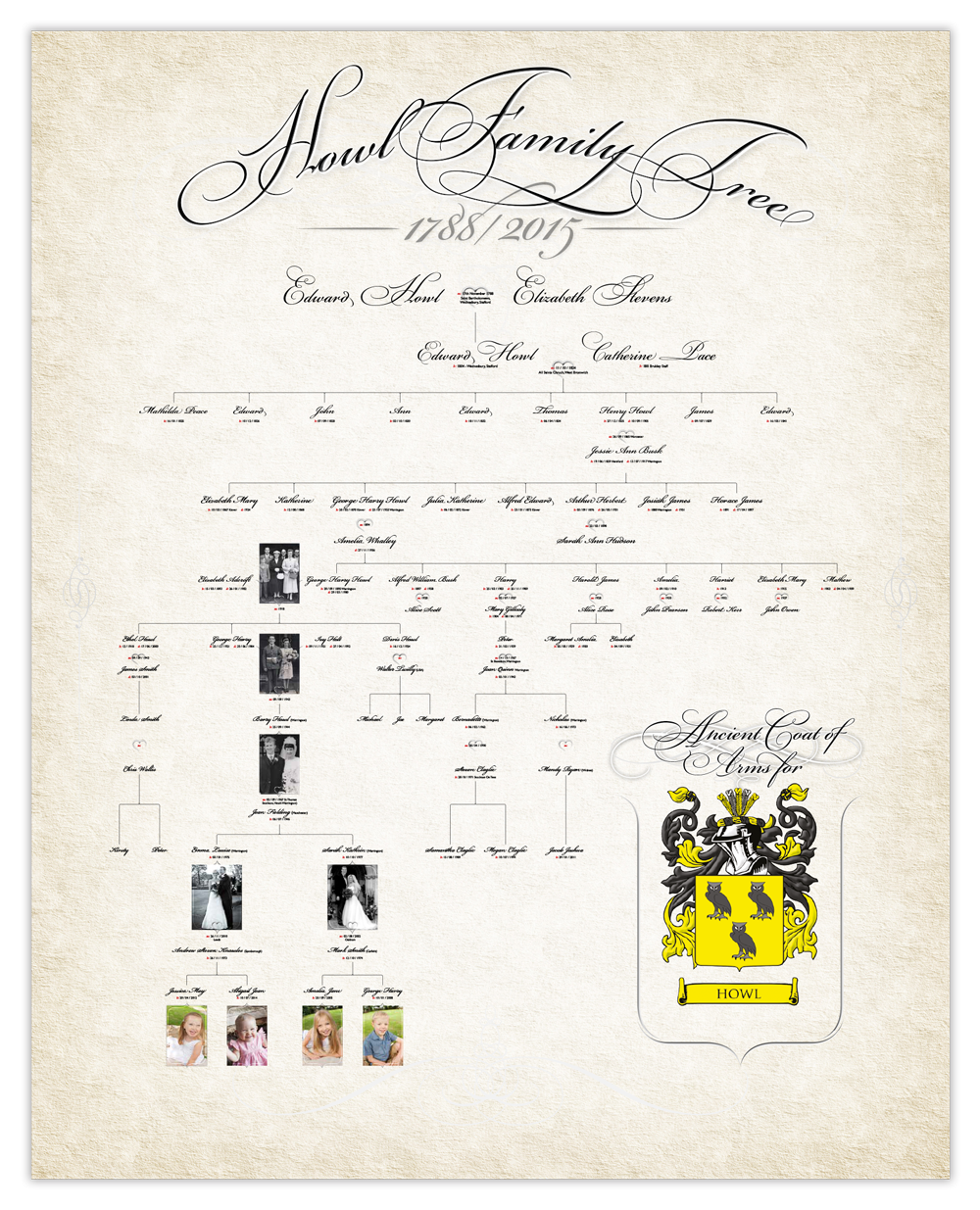 family tree designs pictures of family tree designs